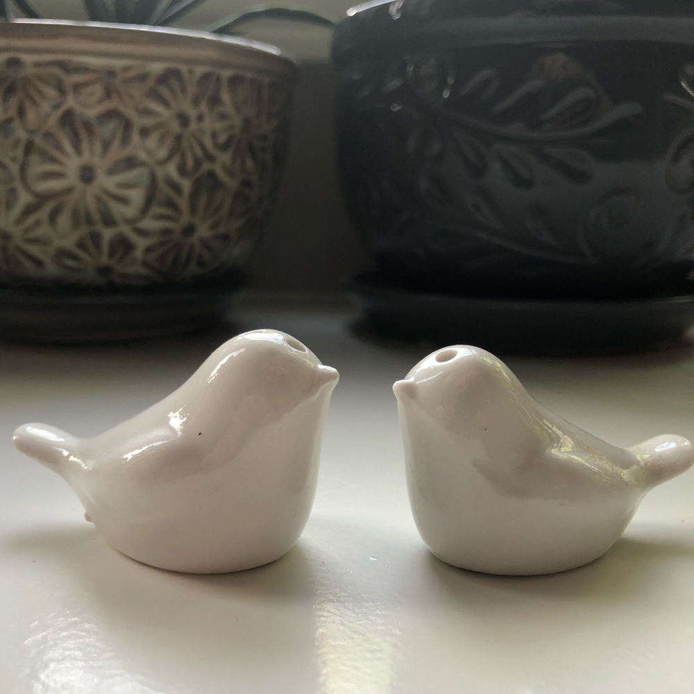 White Birds Salt and Pepper Shakers